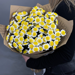 Букет "Моё солнышко" из 11 хризантем сантини  в Подольске