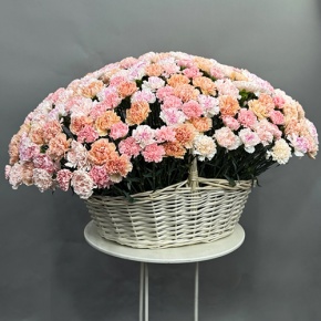 Композиция в корзине из 251 диантуса микс в Подольске