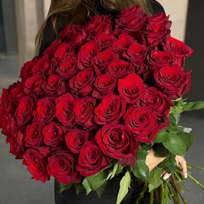 Букет 51 роза Эквадор Эксплорер (70 см) в Подольске