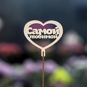 Топпер Самой Любимой в Подольске