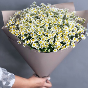 Букет из 17 ромашек танацетум в Подольске