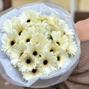 Букет из 21 герберы в Подольске