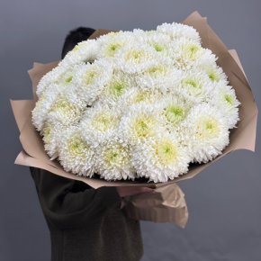 Букет из 27 хризантем Магнум в Подольске