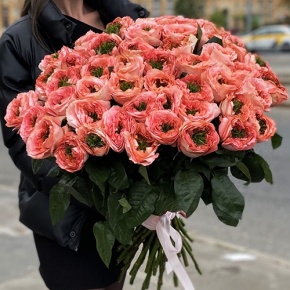 Букет из 51 пионовидной розы Эквадор  (60 см) в Подольске