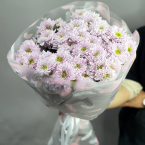 Букет "Нежный комплимент" из 9 кустовых хризантем в Подольске