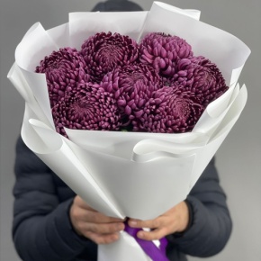 Букет "Винная легенда" из 7 хризантем Бигоуди в Подольске