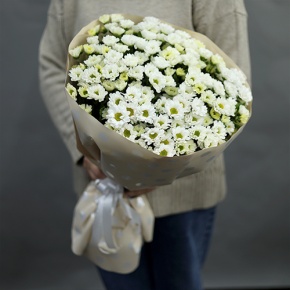 Букет "Милая моя" из 17 хризантем сантини в Подольске