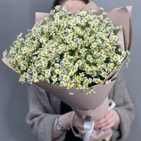 Букет из 17 полевых ромашек в Подольске