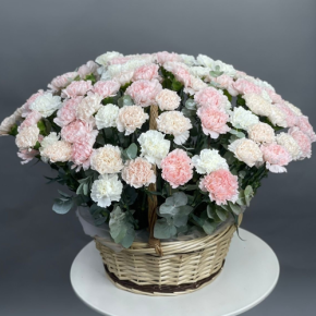 Композиция в корзине из 101 диантуса микс в Подольске