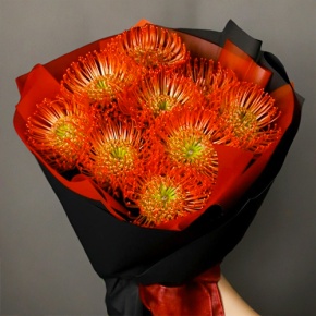 Букет из 9 лейко в Подольске