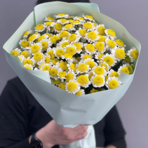 Букет "Моё солнышко" из 17 хризантем сантини  в Подольске