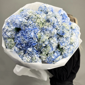 Букет из 23 синих гортензий в Подольске