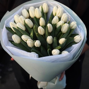 Букет из 31 белого тюльпана в Подольске
