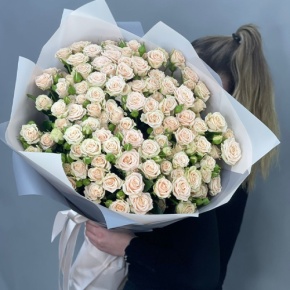 Букет из 25 кремовых кустовых роз (70 см) в Подольске