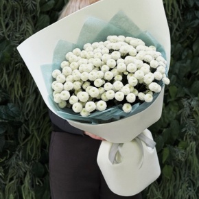 Букет из 25 хризантем Ньютон в Подольске