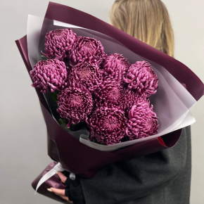 Букет "Изобилие" из 11 винных хризантем Бигоуди в Подольске