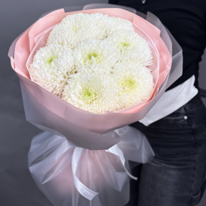 Нежный букет из 7 хризантем Магнум в Подольске