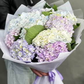 Букет из 9 Голландских гортензий микс в Подольске