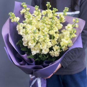 Букет из 15 лимонных маттиол в Подольске