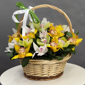 Композиция в корзине из 25 орхидей микс в Подольске