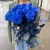 15 синих LUX роз Эквадор (70 см) в Подольске 15 синих LUX роз Эквадор (70 см) в Подольске