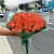Букет из 51 мандариновой розы (40 см) в Подольске