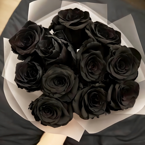 Букет "Черная королева" из 11 черных роз Эквадор (60 см) в Подольске
