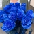 15 синих LUX роз Эквадор (70 см) в Подольске 15 синих LUX роз Эквадор (70 см) в Подольске