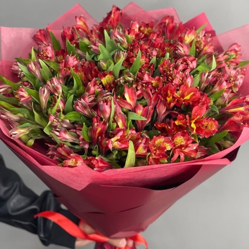 Монобукет из 25 красных альстромерий в Подольске