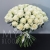 Букет 75 белых роз Эквадор Мондиаль (80 см) в Подольске Букет 75 белых роз Эквадор Мондиаль (80 см) в Подольске