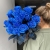 15 синих LUX роз Эквадор (70 см) в Подольске 15 синих LUX роз Эквадор (70 см) в Подольске