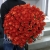 Букет 101 коралловая роза (60 см) в Подольске