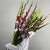 Букет из 25 гладиолусов микс в Подольске Букет из 25 гладиолусов микс в Подольске