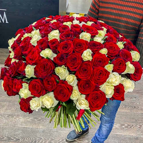 Букет 151 роза красный и белый микс (60 см) в Подольске