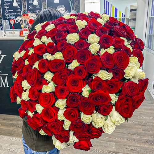 Букет 151 роза красный и белый микс (60 см) в Подольске