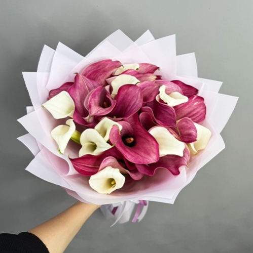 Букет из 25 нежных калл в Подольске