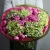 Букет "Мармеладный" из Голландских гортензий и пионовидных кустовых роз в Подольске Букет "Мармеладный" из Голландских гортензий и пионовидных кустовых роз в Подольске