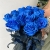 15 синих LUX роз Эквадор (70 см) в Подольске 15 синих LUX роз Эквадор (70 см) в Подольске