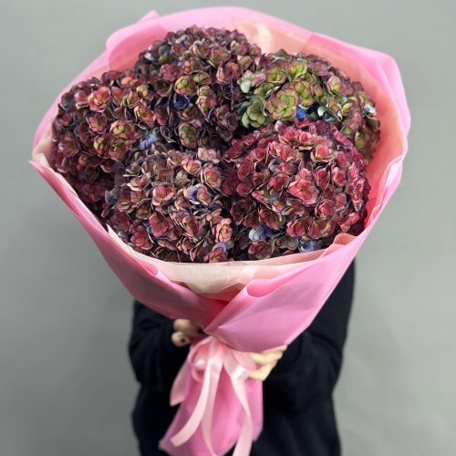 Букет из 5 космических Голландских гортензий в Подольске