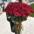 Букет из 101 красной розы (90 см) в Подольске Букет из 101 красной розы (90 см) в Подольске