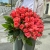 Букет 51 роза коралл (60 см) в Подольске