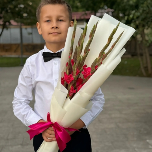 Букет на 1 сентября из 7 малиновых гладиолусов в Подольске
