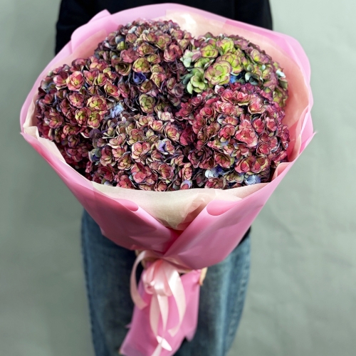 Букет из 5 космических Голландских гортензий в Подольске