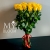 Букет 25 желтых роз эквадор (60 см) в Подольске