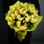 Букет из 13 лимонных орхидей в Подольске Букет из 13 лимонных орхидей в Подольске