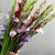 Букет из 25 гладиолусов микс в Подольске Букет из 25 гладиолусов микс в Подольске
