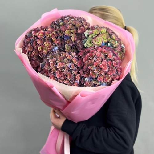 Букет из 5 космических Голландских гортензий в Подольске